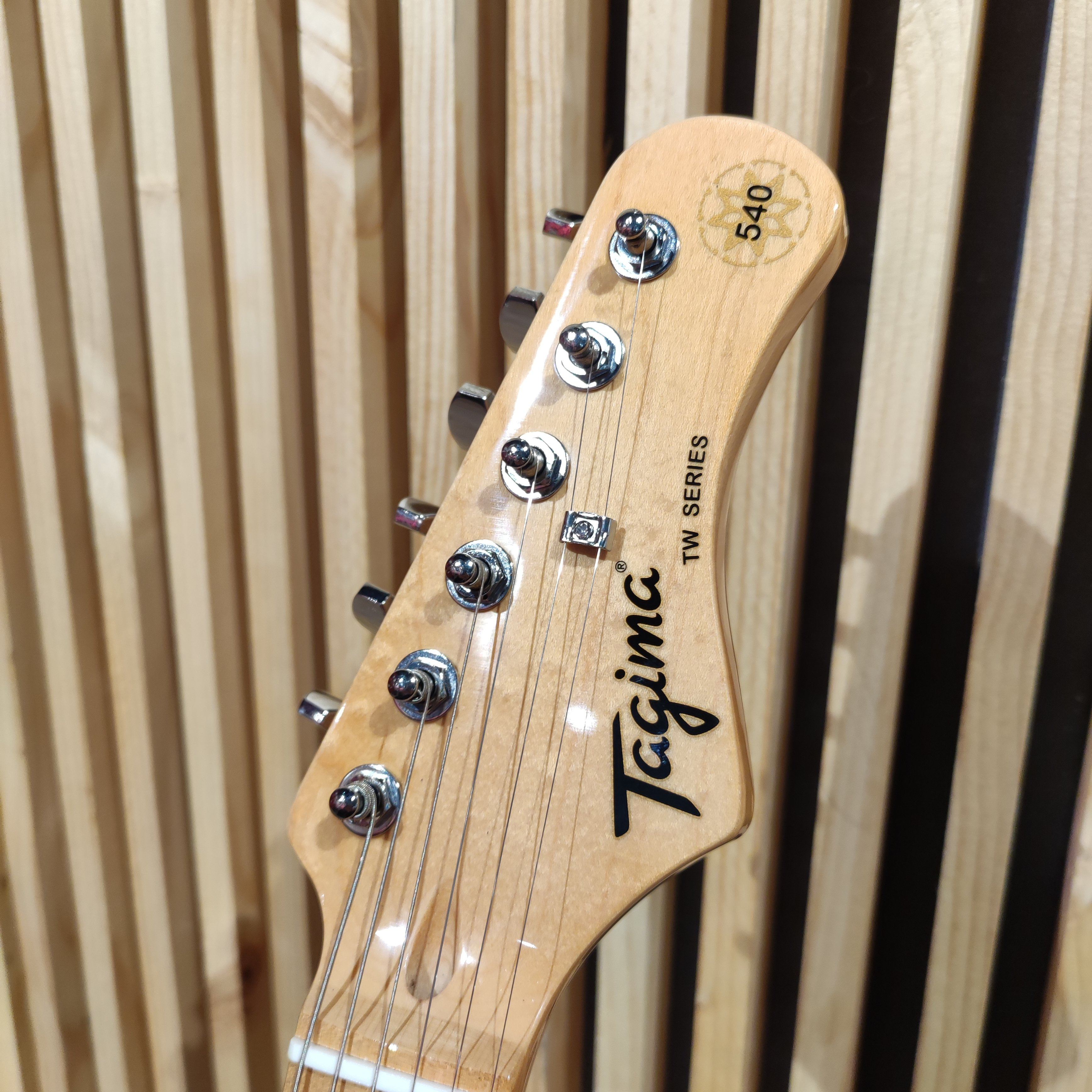 Tagima TG-540 Surf Green Guitarra Eléctrica Guitarras Eléctricas Tagima