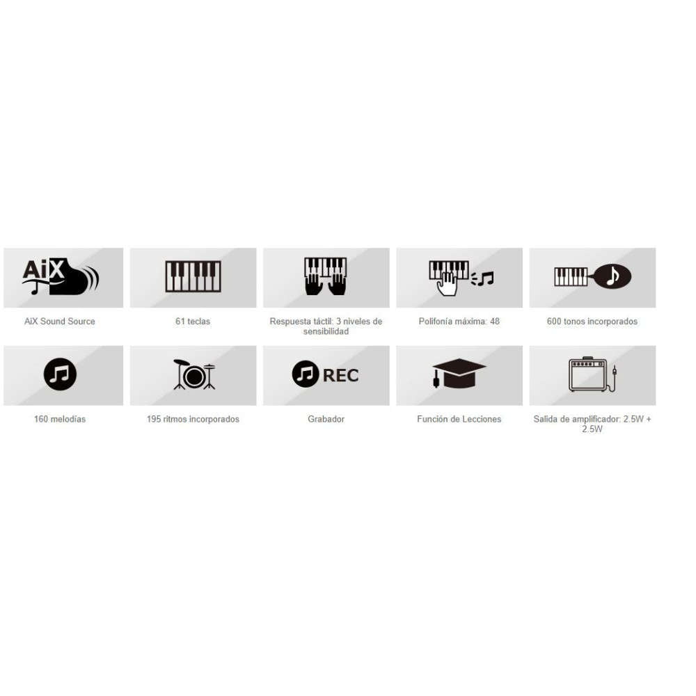 Casio CT-X800 Teclado Portátil con 61 Teclas Sensibles (Incluye Transformador)