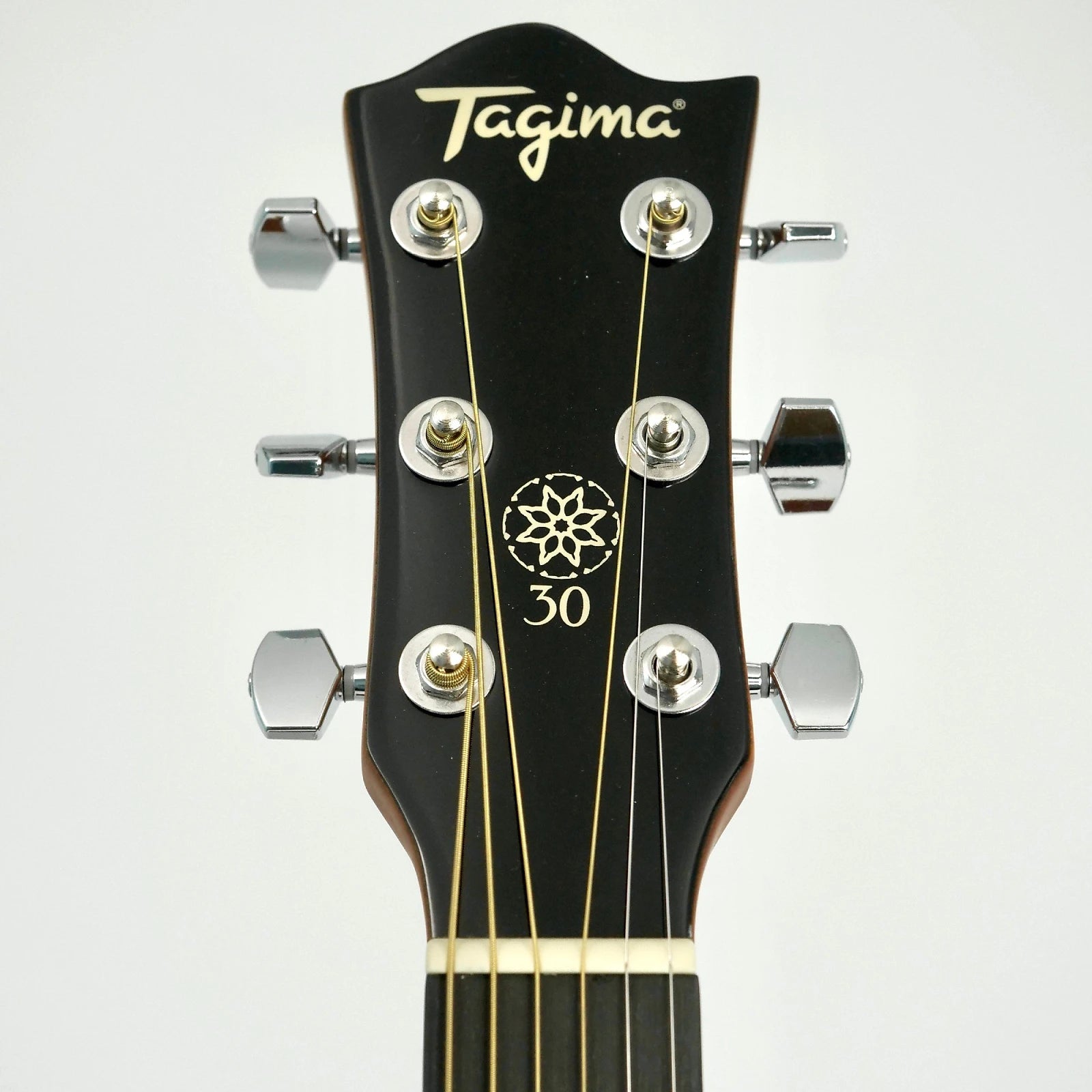 Tagima TW-30 EQ Transparent Tobacco Guitarra Electroacústica Guitarras Electroacústicas Tagima 